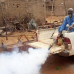 Dengue au Mali : épidémie en cours et mesures de prévention