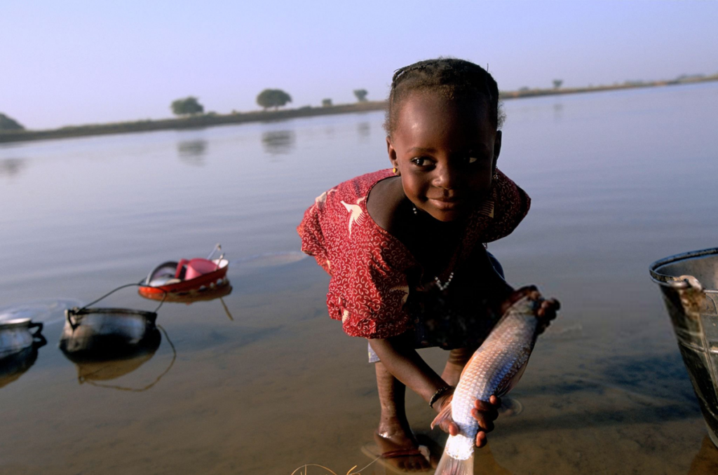 Le Niger premier pays africain à éliminer l’onchocercose selon l’oms