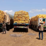 Burkina faso : la junte militaire face à l&rsquo;échec de sa politique d&rsquo;autosuffisance alimentaire