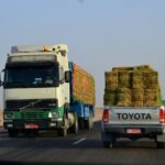 Modernisation des corridors de transit entre le Tchad, le Cameroun et la RCA