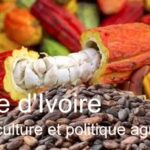 L&rsquo;agriculture ivoirienne au cœur du développement économique