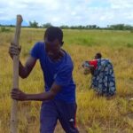Tchad : les champs écoles paysans, une réponse à l’insécurité alimentaire