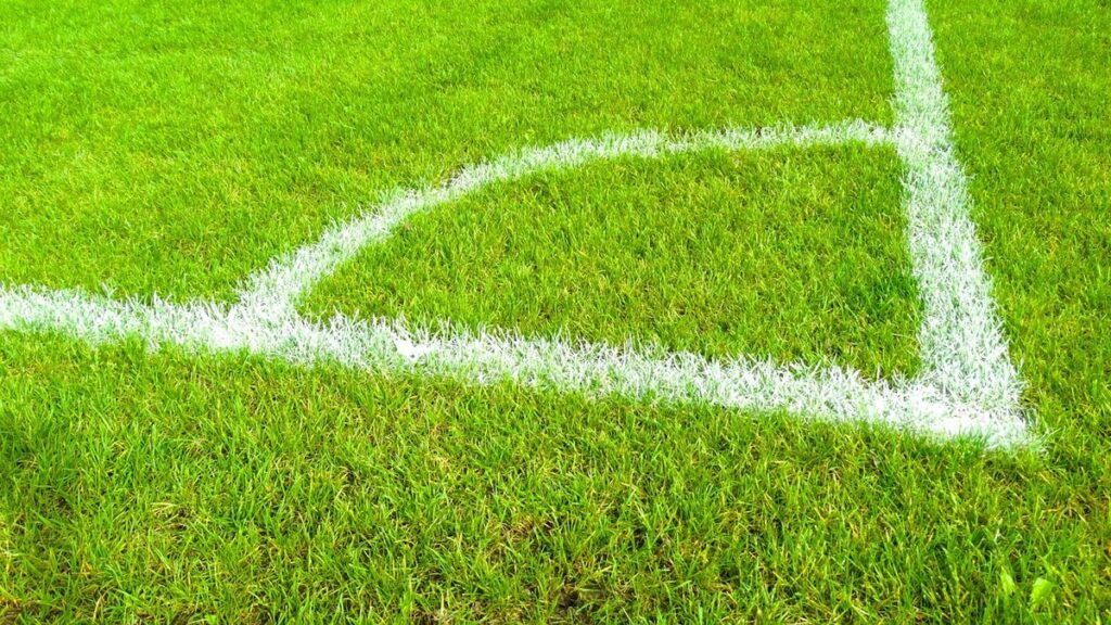 Nice et Saint-Étienne s’affrontent pour un ticket en Ligue 1 ce soir