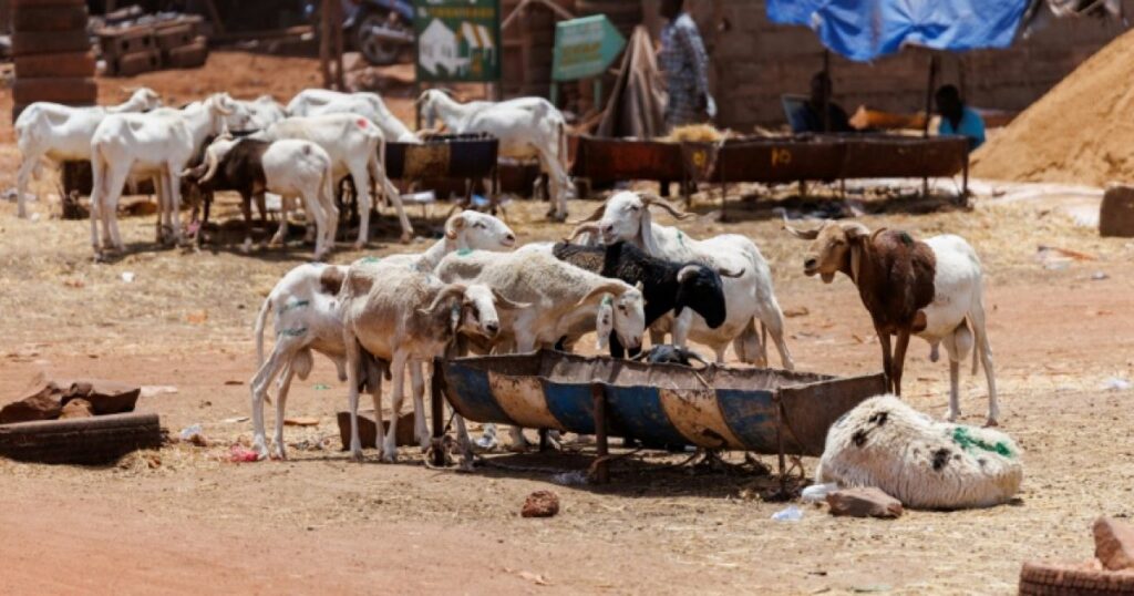 Tabaski à Bamako : les familles maliennes bloquées par les jihadistes