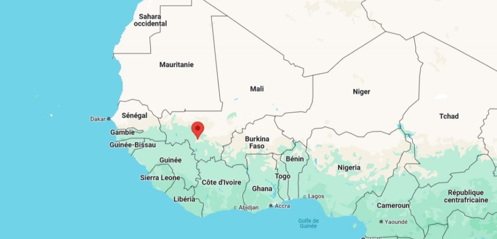 Manifestation à Bamako : les maliens descendent dans la rue pour défendre la démocratie