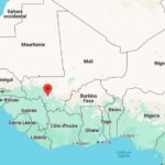 Manifestation à Bamako : les maliens descendent dans la rue pour défendre la démocratie