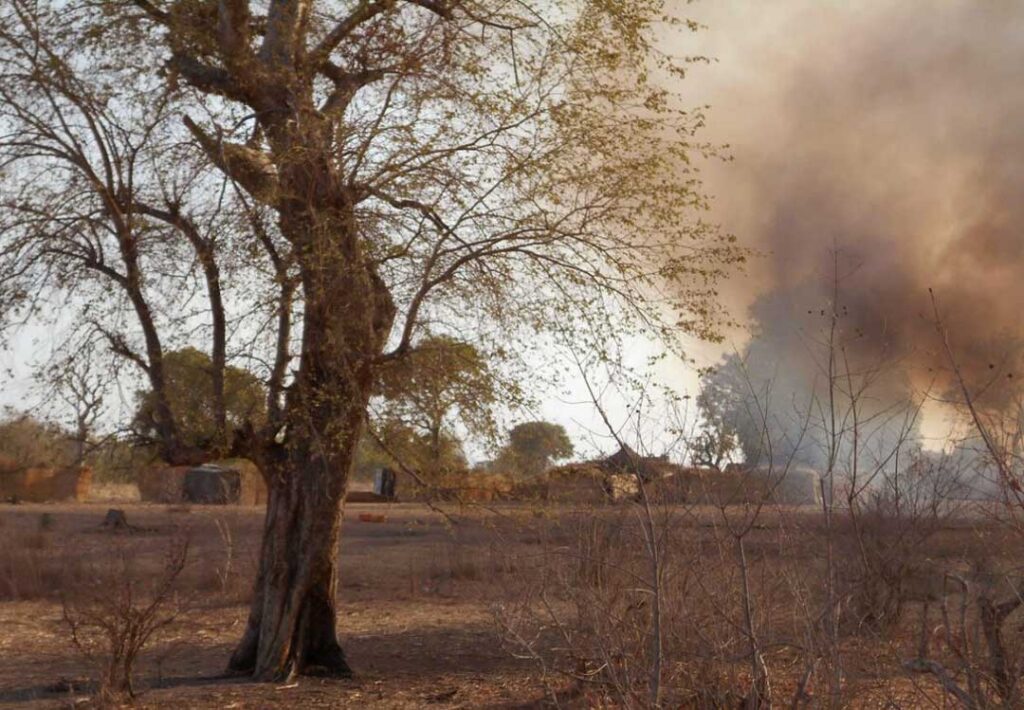 Affrontements dans la forêt de Sambisa : Boko Haram et la PAOEI s’affrontent pour le contrôle