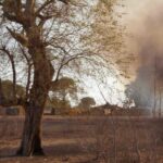 Affrontements dans la forêt de Sambisa : Boko Haram et la PAOEI s&rsquo;affrontent pour le contrôle