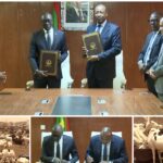 Mauritanie : 450 000 béliers exportés vers le Sénégal pour tabaski