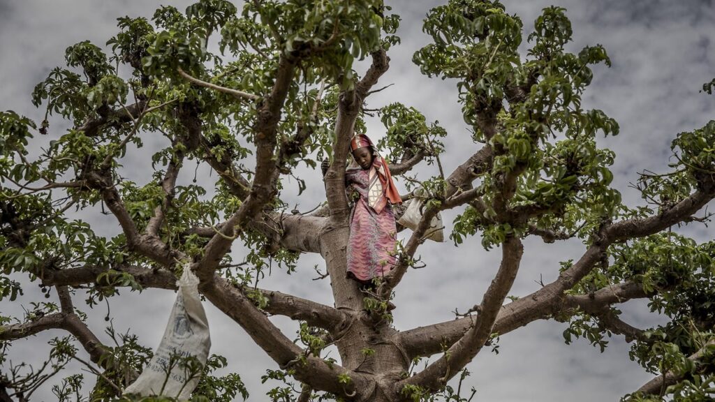 Niger : la crise économique et sécuritaire, un défi quotidien
