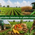 La révolution agricole béninoise : un moteur économique puissant depuis 2016