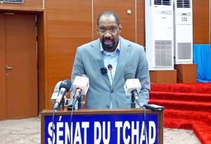 Tchad : mobilisation urgente contre les violences entre communautés