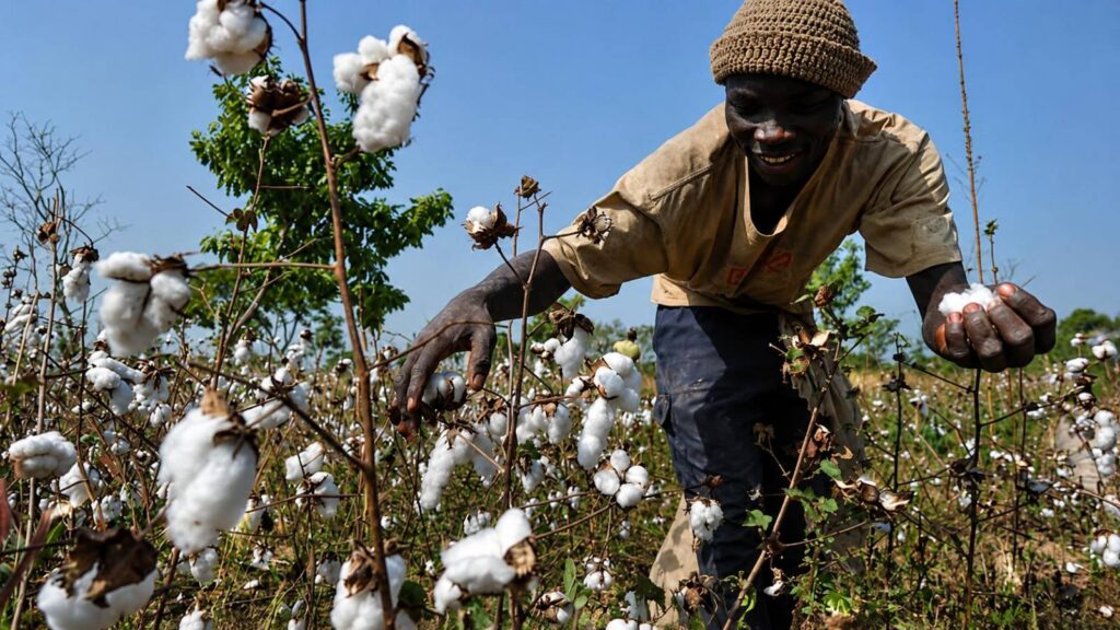 Bénin : le gouvernement accélère la transformation agricole pour l’autosuffisance