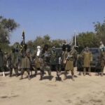 Plus de 400 otages enlevés par Boko Haram retrouvés sains et saufs au Nigeria