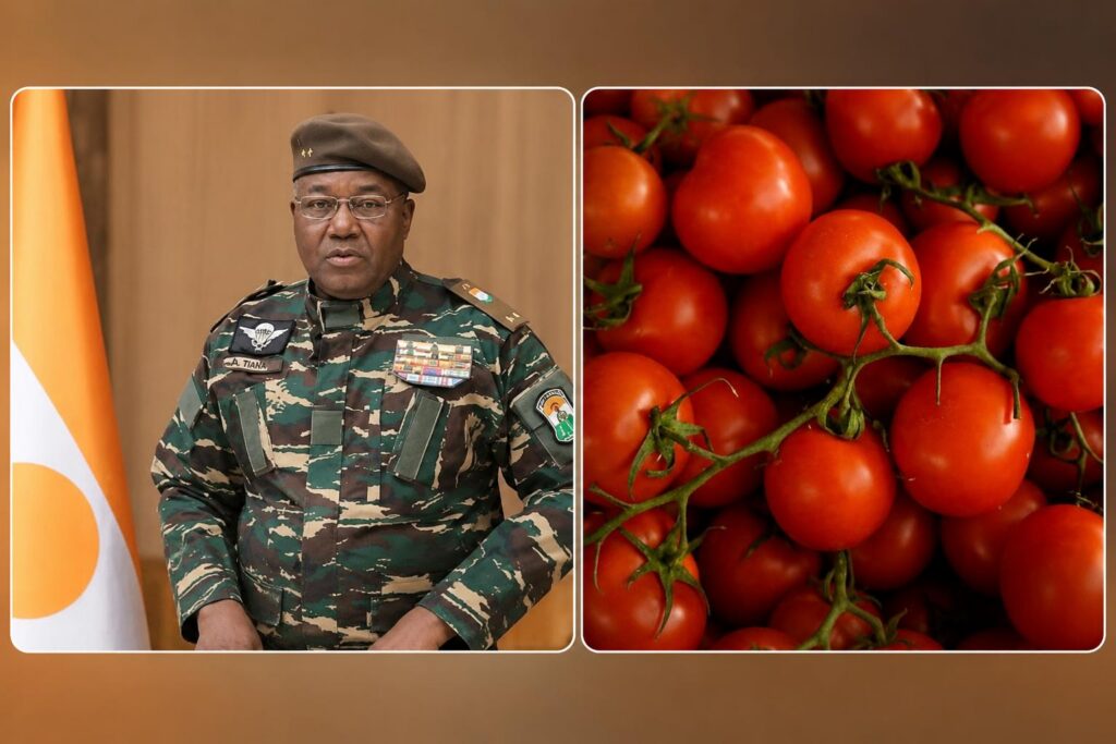 Financement italien pour la tomate au Niger : miroir d’une souveraineté inachevée