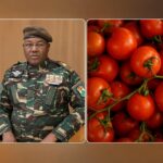 Financement italien pour la tomate au Niger : miroir d’une souveraineté inachevée