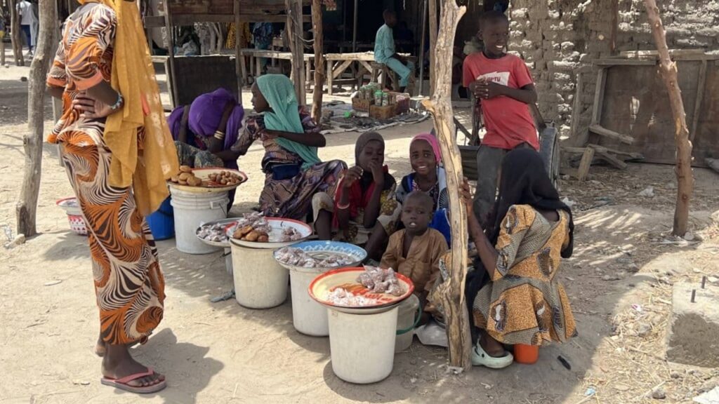 Boko haram relâche des otages au Nigeria après des années d’enlèvement