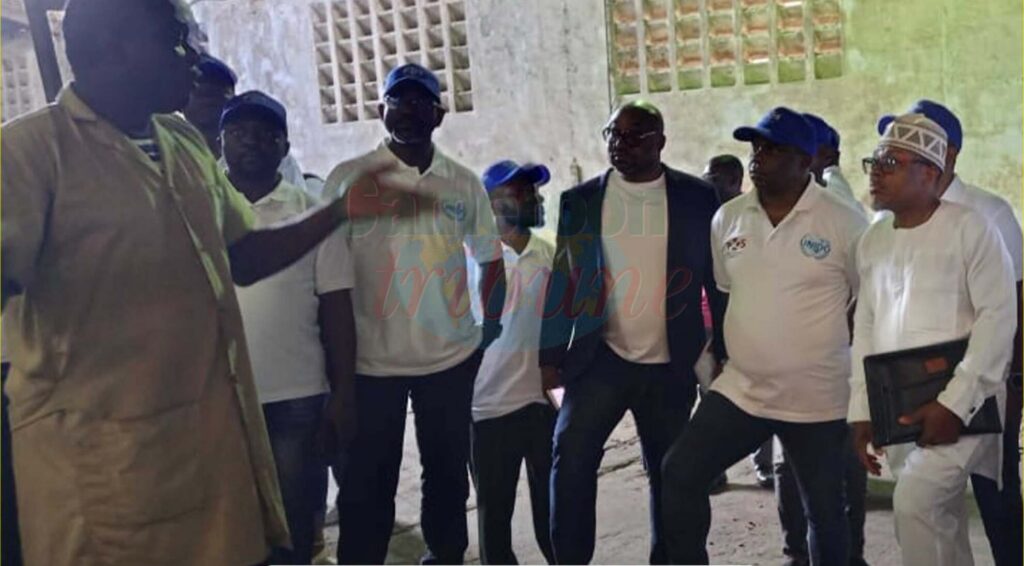 Cameroun : 35 experts formés pour garantir la qualité du cacao exporté