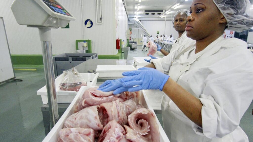Le Gabon tourne le dos à l’accord de pêche avec l’Union européenne