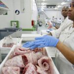 Le Gabon tourne le dos à l’accord de pêche avec l’Union européenne