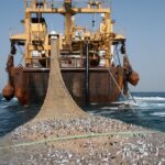 Pêche au Gabon : Libreville dénonce l&rsquo;accord avec l&rsquo;Union européenne