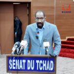 Tchad : le ministre de la sécurité présente les enjeux sécuritaires face aux sénateurs