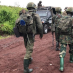 Crise dans l&rsquo;est de la rdc : la sadc alerte sur l&rsquo;urgence de respecter les accords de paix