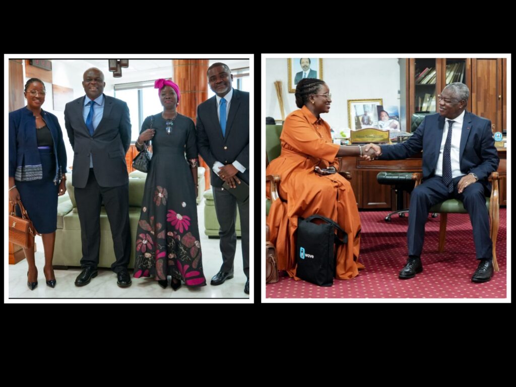 Wave renforce son dialogue institutionnel au Cameroun pour une finance numérique accessible