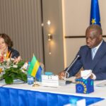 Gabon et union européenne : un partenariat économique et écologique en construction