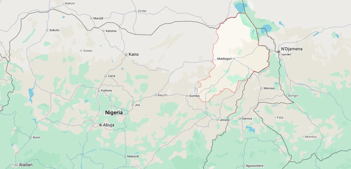 Libération de femmes et enfants enlevés par Boko Haram dans l’État de Borno