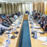 Le Gabon lance une révolution pour devenir autonome en matière alimentaire