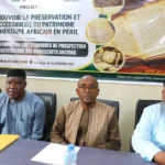 Formation à la préservation des manuscrits anciens au Mali : l&rsquo;UNESCO et SAVAMA-DCI unissent leurs forces