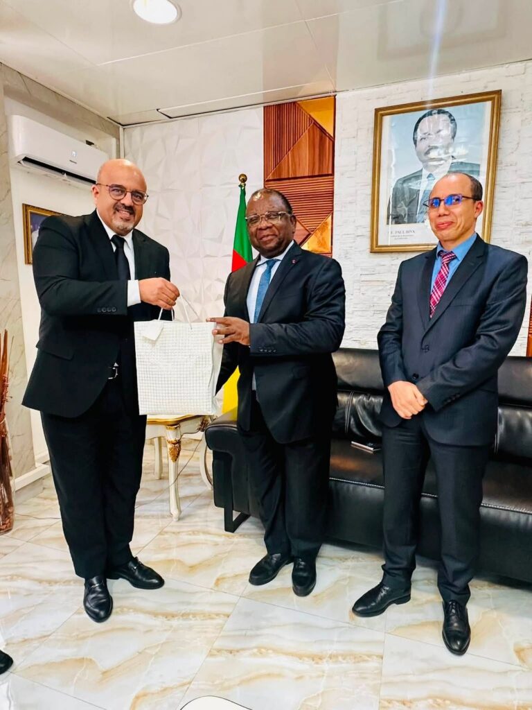Cameroun et Algérie : une alliance économique africaine en plein essor