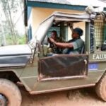 Centrafrique : pratiques douteuses dans le secteur forestier, le gouvernement réagit