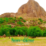 Tourisme au Cameroun : décennie de déclin et pertes abyssales