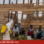 La République démocratique du Congo confirme que le nombre de cas d&rsquo;infection par Ebola a dépassé les 1 500.