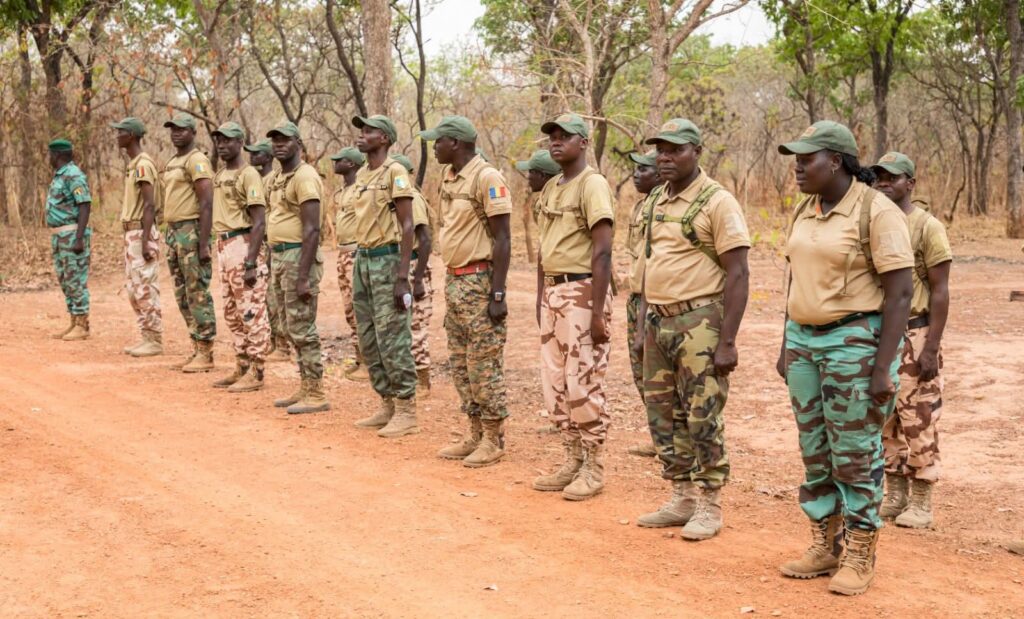 Interdiction des tenues militaires pour les agents des eaux et forêts au Tchad