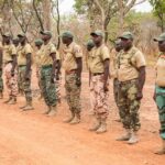 Interdiction des tenues militaires pour les agents des eaux et forêts au Tchad