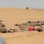 Mali : massacre de soldats et impunité, l&rsquo;ONU exige des réponses à la junte