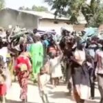 Crise oubliée : quand boko haram dévaste le mayo-tsanaga
