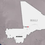 Assassinat ciblé d&rsquo;un boucher à Tonka : les jihadistes du Jnim frappent encore