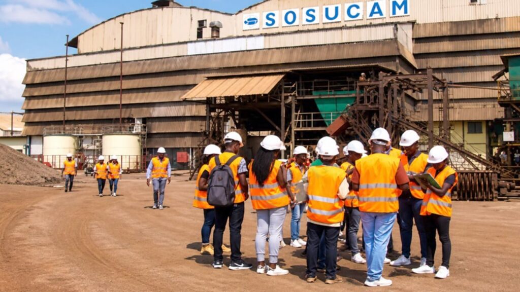 Changement de direction à la Sosucam : les nouveaux acteurs clés au Cameroun