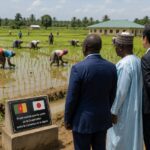 Le Japon investit massivement au Cameroun : un partenariat stratégique de 646 millions de dollars