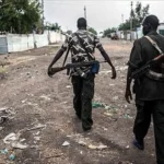 Attaque meurtrière de Boko Haram dans l&rsquo;Extrême-Nord du Cameroun