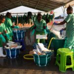 Épidémie d&rsquo;Ebola en RDC : une situation sanitaire alarmante dans l&rsquo;Ituri