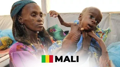 Ce que les chiffres révèlent vraiment de la crise alimentaire au Mali