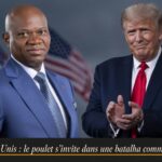 Poulet : l&rsquo;interdiction gabonaise devant l&rsquo;OMC, un test pour la filière avicole